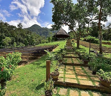 Sheridan Organic Farm And Eco Village Maratapi Exterior foto