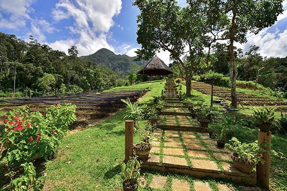 Sheridan Organic Farm And Eco Village Maratapi Exterior foto