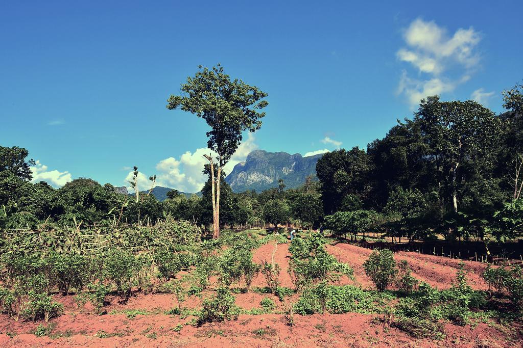 Sheridan Organic Farm And Eco Village Maratapi Exterior foto