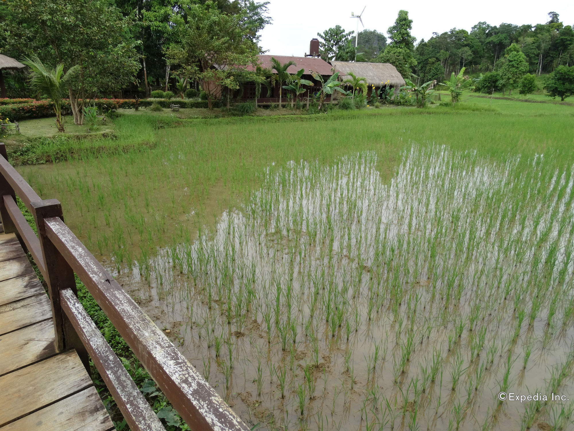 Sheridan Organic Farm And Eco Village Maratapi Exterior foto