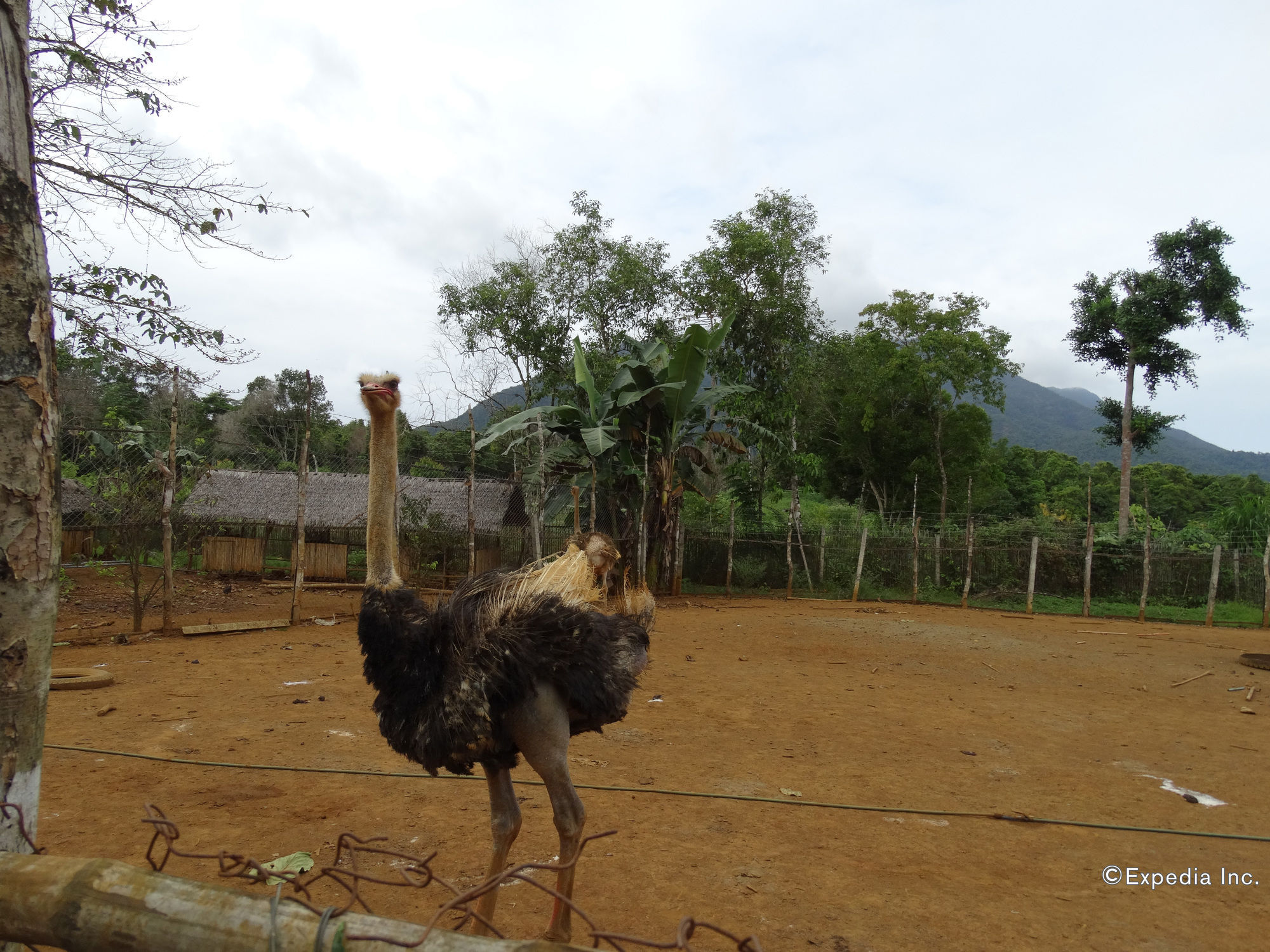 Sheridan Organic Farm And Eco Village Maratapi Exterior foto