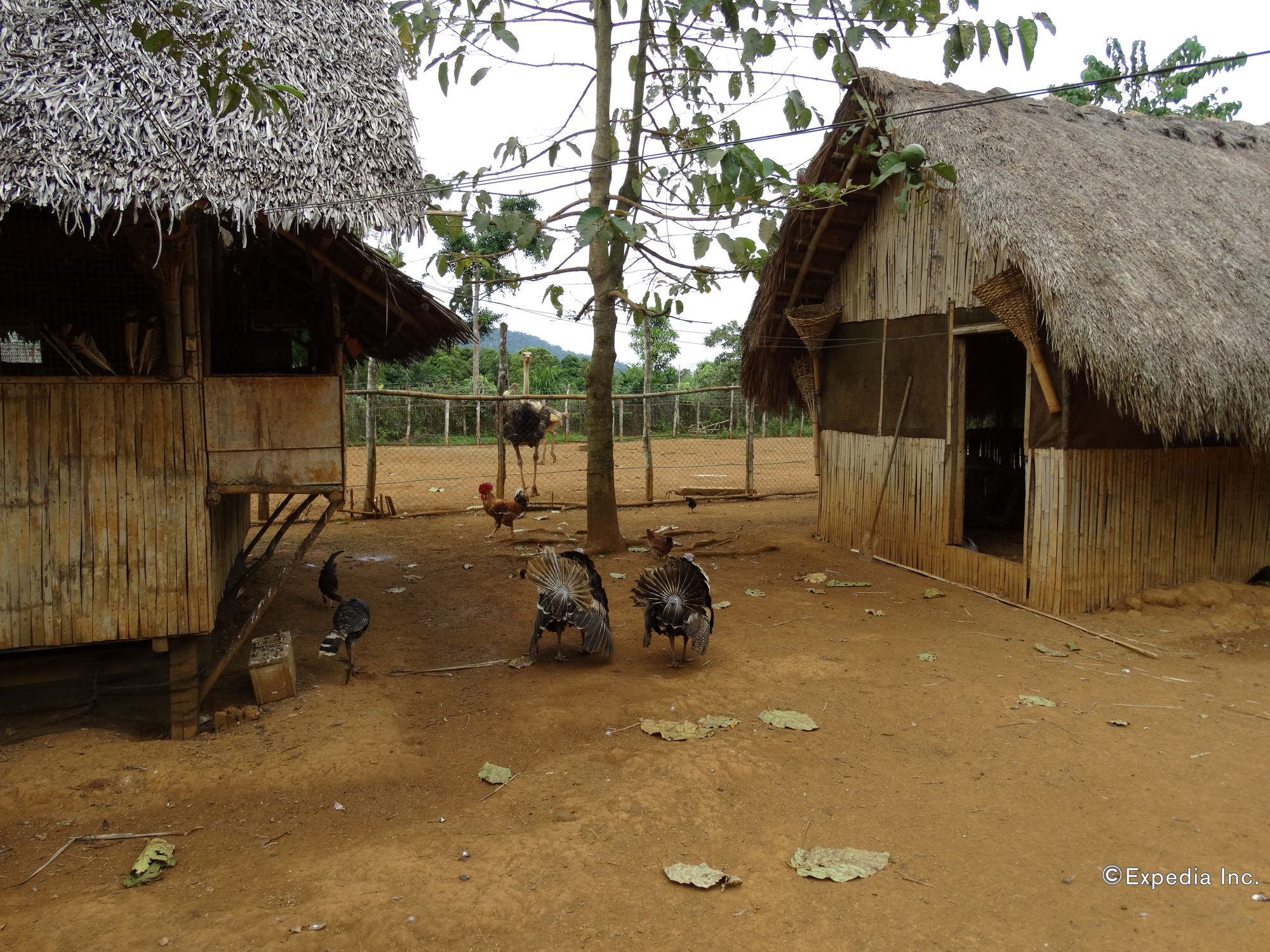 Sheridan Organic Farm And Eco Village Maratapi Exterior foto