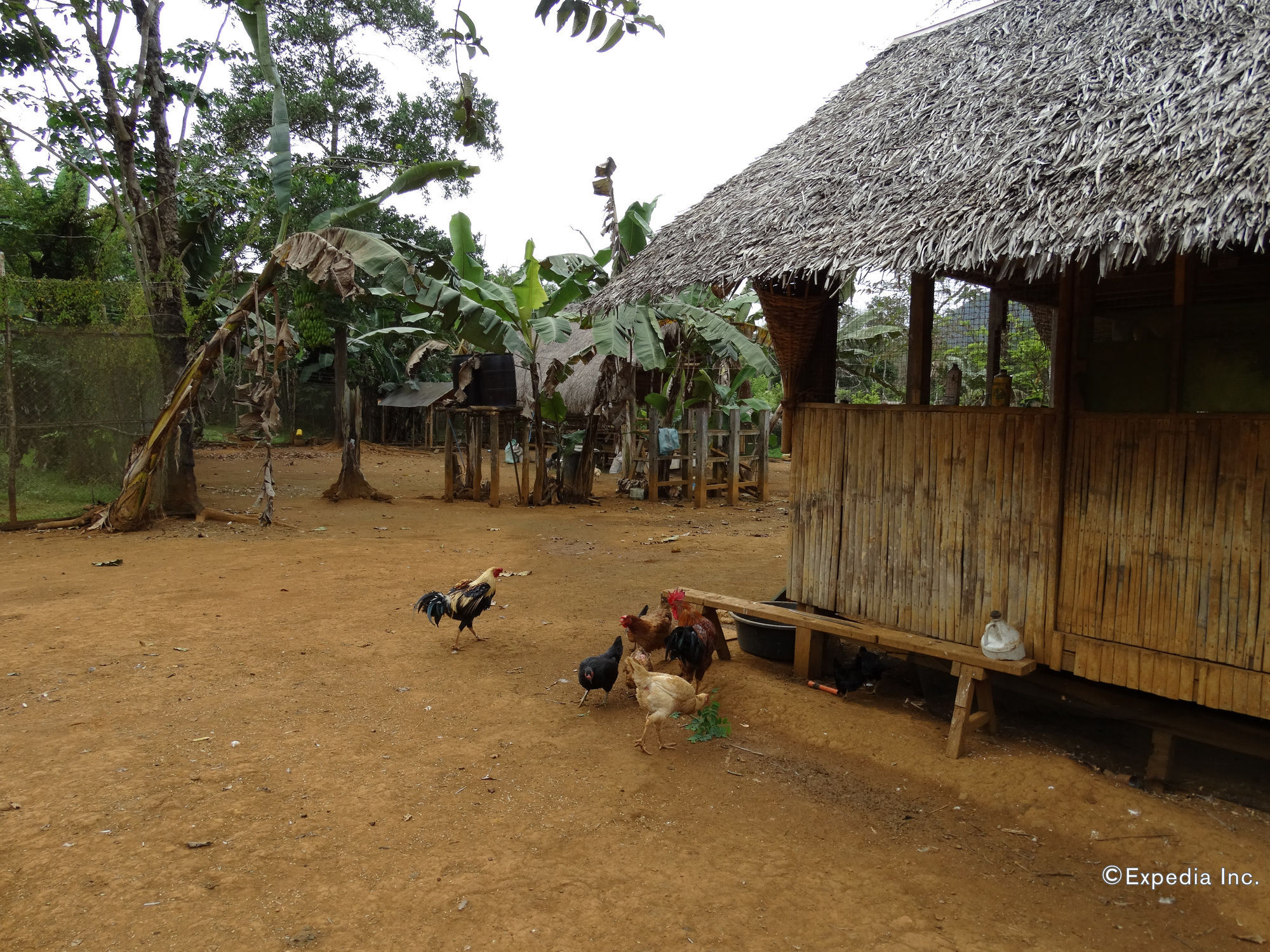 Sheridan Organic Farm And Eco Village Maratapi Exterior foto