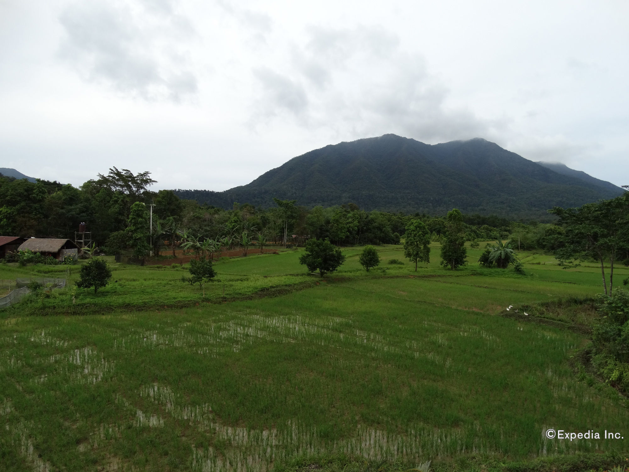 Sheridan Organic Farm And Eco Village Maratapi Exterior foto